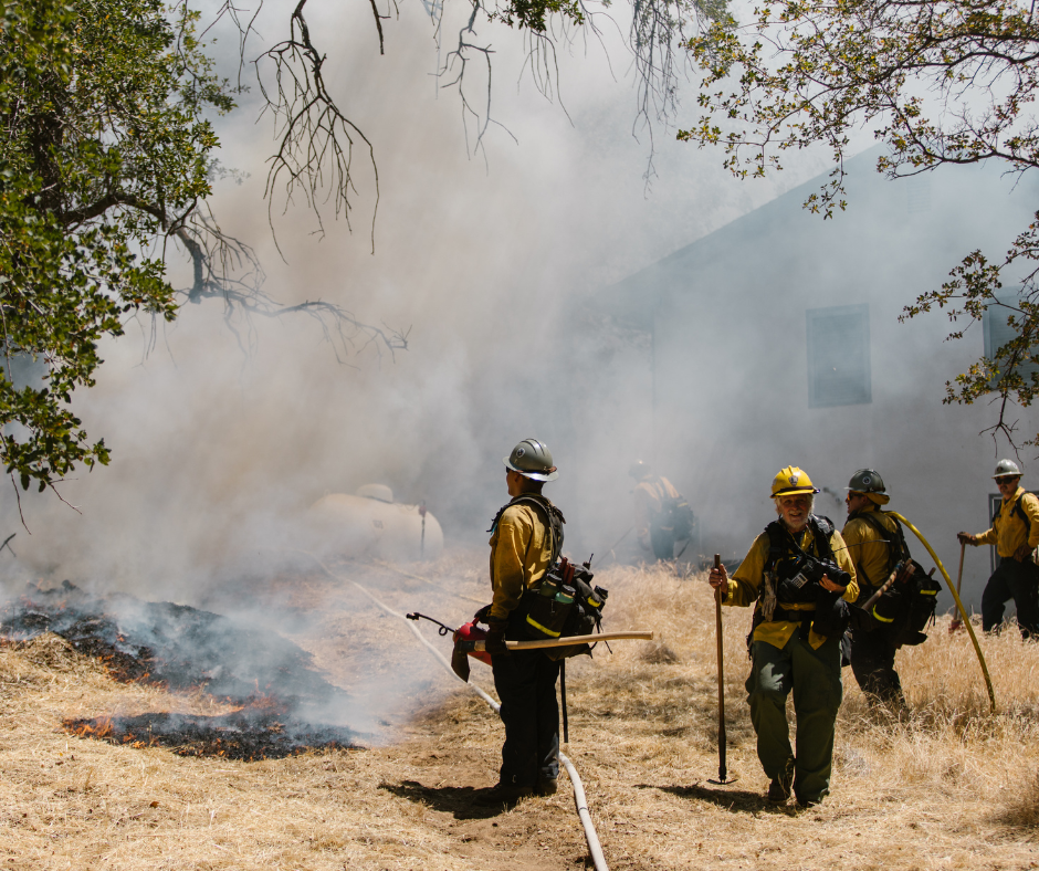 california wildfire